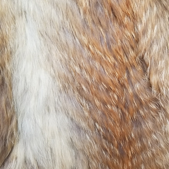 Wilsons Natural Red Fox Fur - Picture 3 of 16